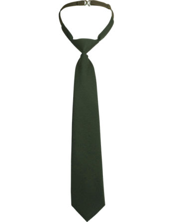 галстук оливковый